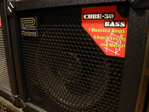 Roland Cube-30 bass Front