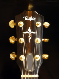 TaylorK-14ce Head