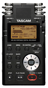 tascam_dr100.gif(33625 byte)